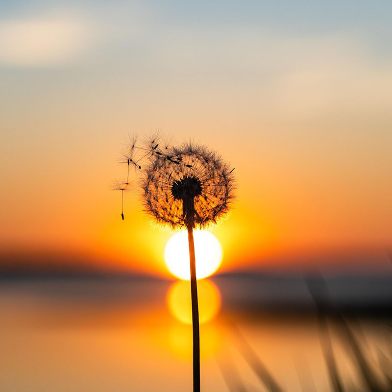 Photo by <a href="https://unsplash.com/@iamchang?utm_content=creditCopyText&utm_medium=referral&utm_source=unsplash">Chang Duong</a> on <a href="https://unsplash.com/photos/silhouette-photo-of-six-persons-on-top-of-mountain-Sj0iMtq_Z4w?utm_content=creditCopyText&utm_medium=referral&utm_source=unsplash">Unsplash</a><br />
      